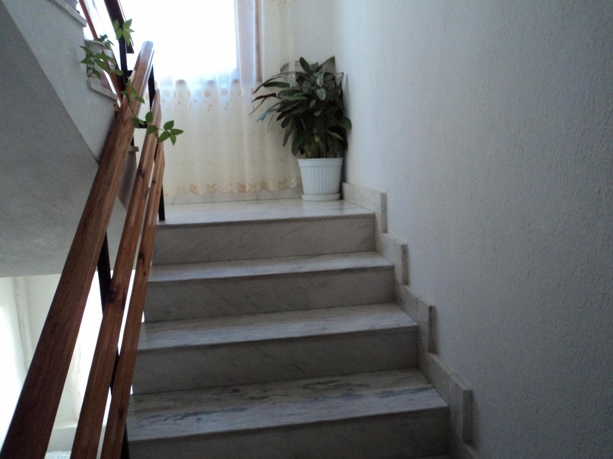 Guest House Drazhev ابزور المظهر الخارجي الصورة
