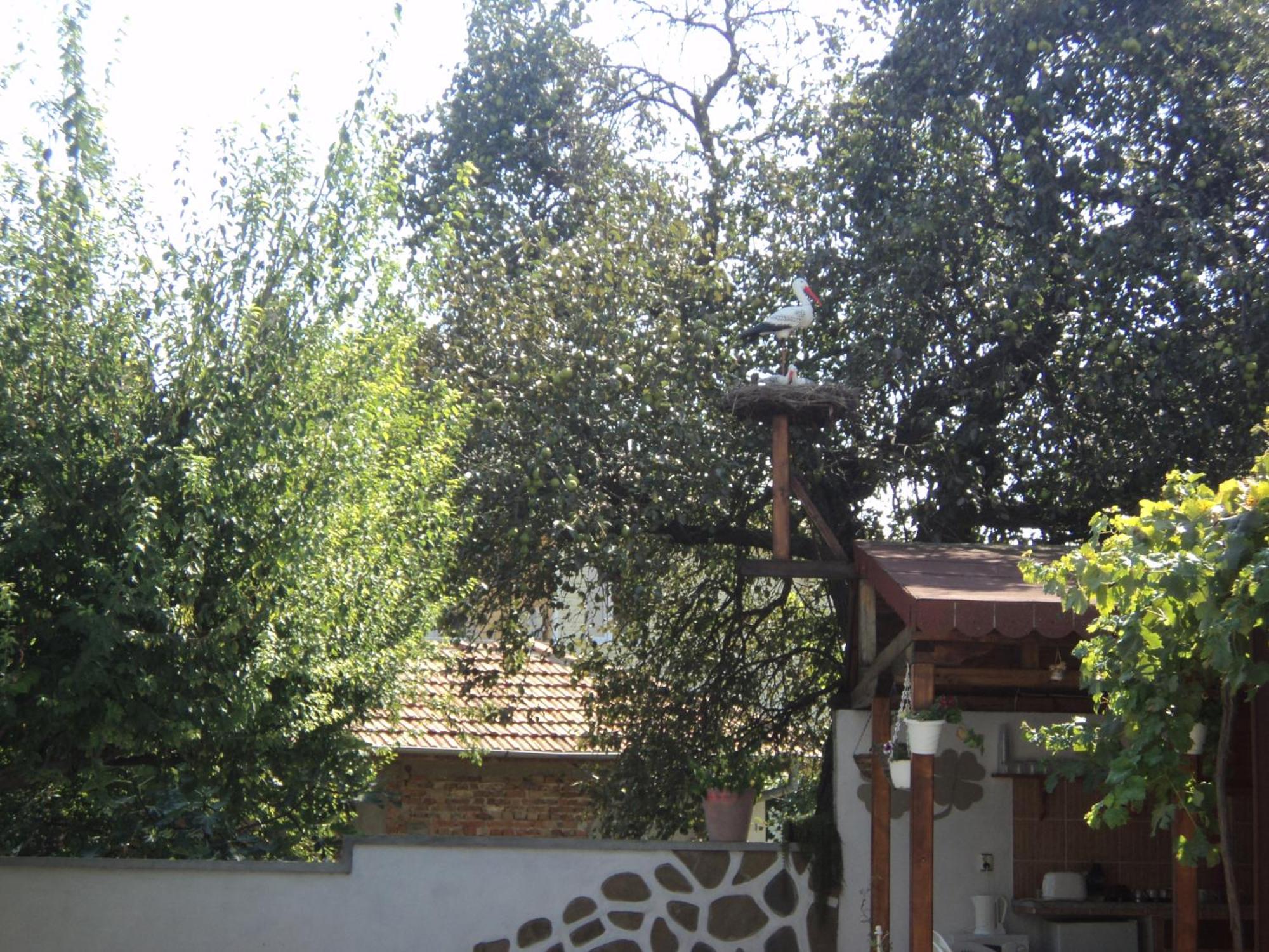 Guest House Drazhev ابزور المظهر الخارجي الصورة